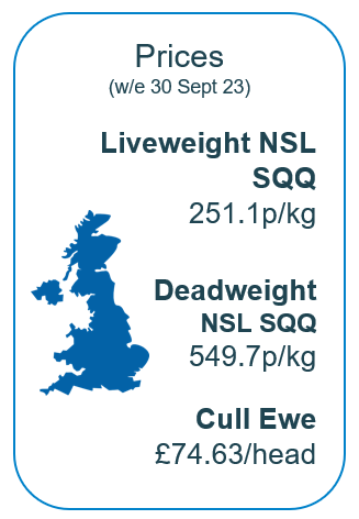 Infographic of sheep prices Sept 2023